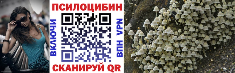 где купить наркоту  Невель  Псилоцибиновые грибы мухоморы 